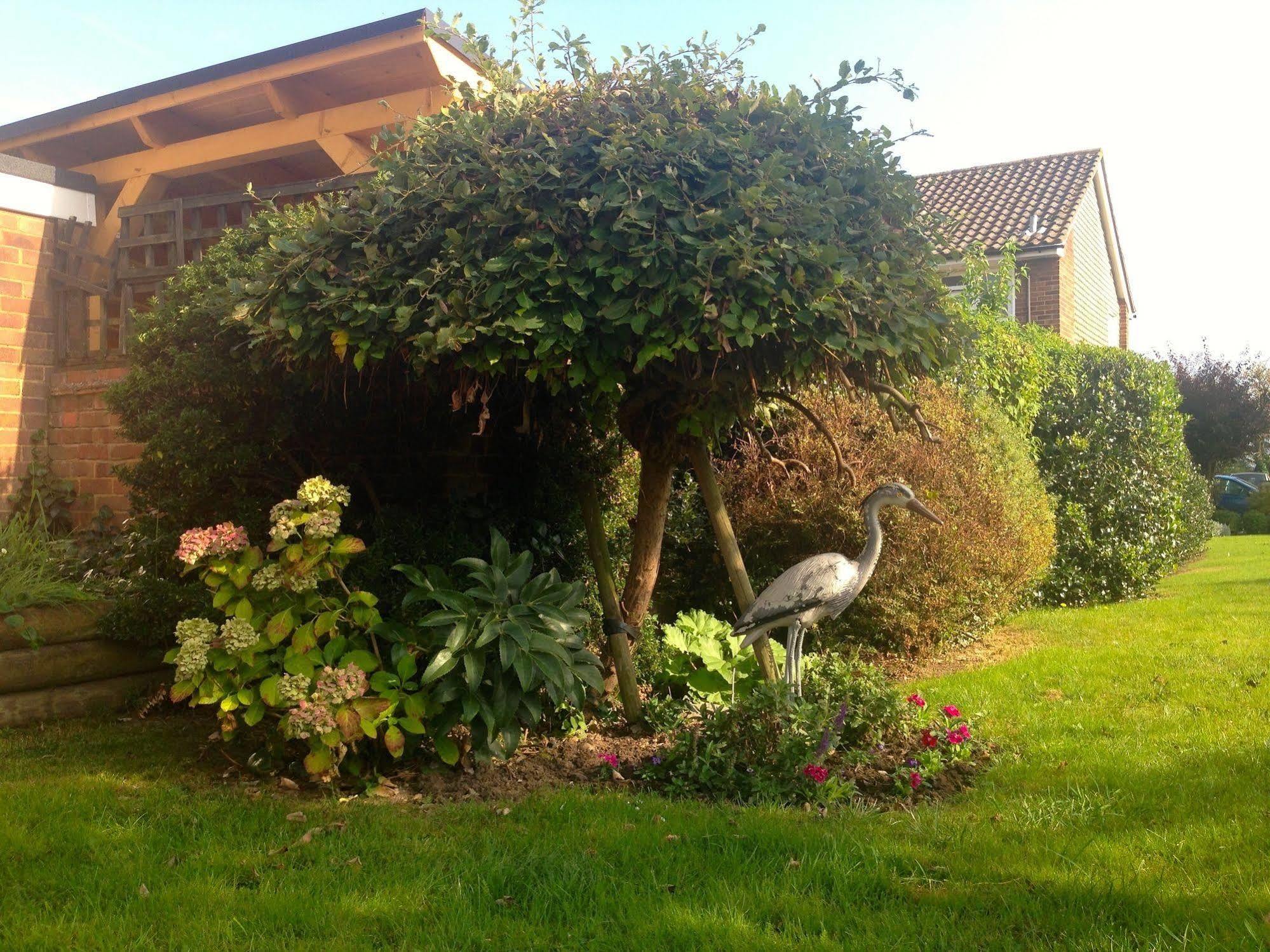 Herons Nest B&B มาร์โลว์ ภายนอก รูปภาพ